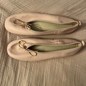 Everlane the day ballet flats